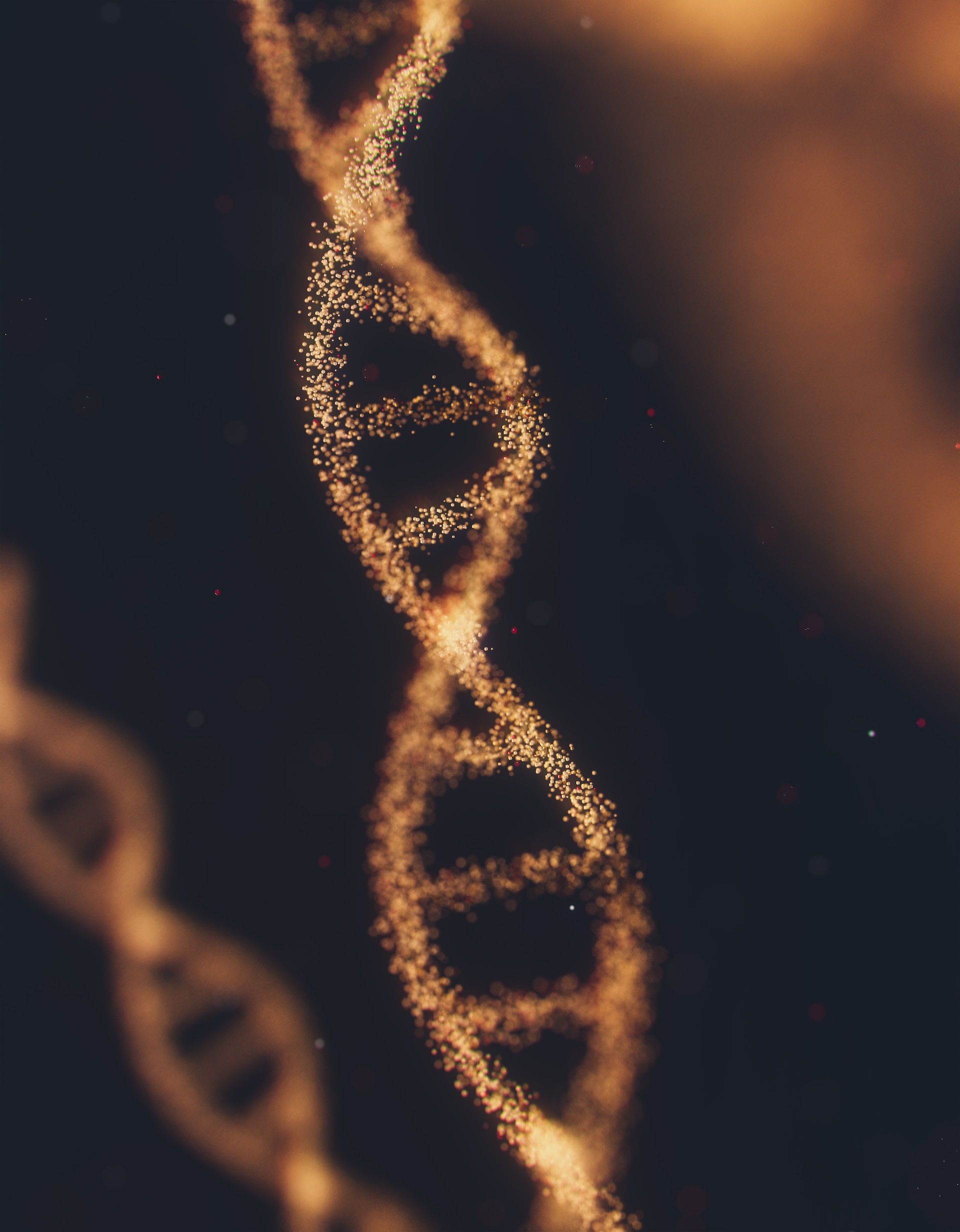 Another picture of a DNA strand set next to a picture close up of an eye and a fingerprint. All three represent the fact that all humans are the only version there will ever be. 